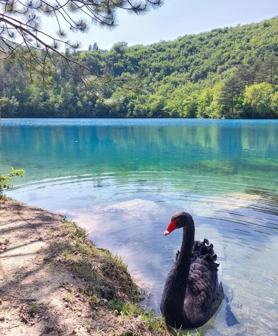 Locanda della Pieve Pievebovigliana Esterno foto